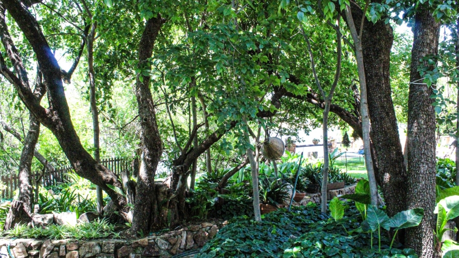 4 Bedroom Property for Sale in Parys Free State